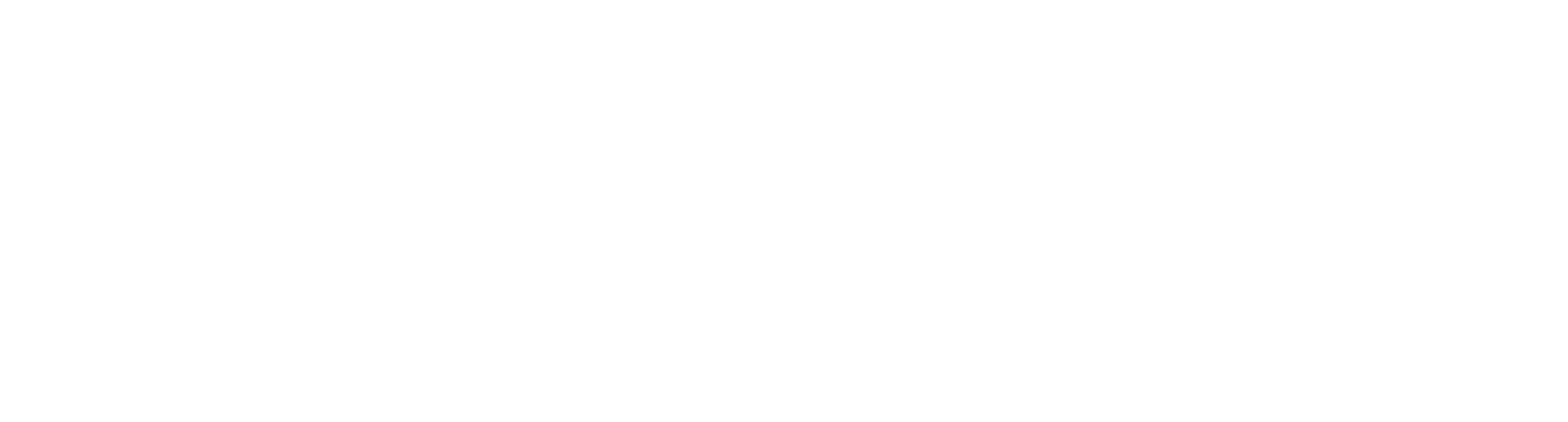 Razo GPS Solutions